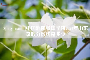文昌中国消防救援学院2021年山东录取分数线是多少