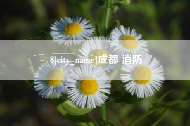 文昌成都 消防