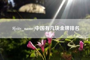 文昌中国有几块金牌排名