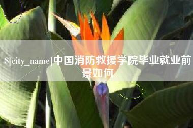 文昌中国消防救援学院毕业就业前景如何
