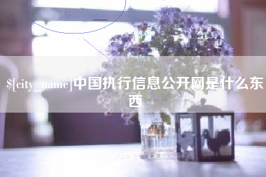 文昌中国执行信息公开网是什么东西