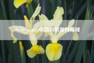 文昌中国消防器材商城