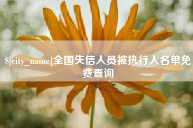 文昌全国失信人员被执行人名单免费查询