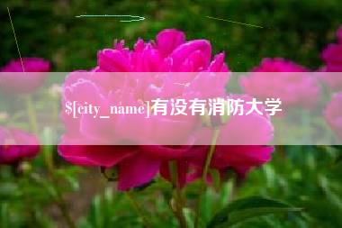 文昌有没有消防大学