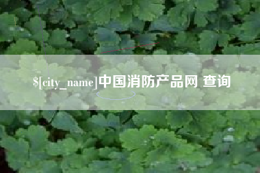 文昌中国消防产品网 查询