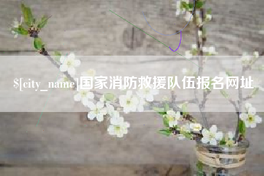 文昌国家消防救援队伍报名网址