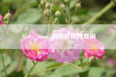 文昌消控证官网查询