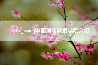 文昌中国消防救援学院介绍