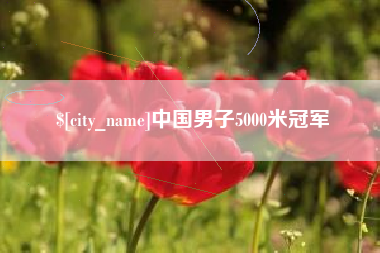 文昌中国男子5000米冠军