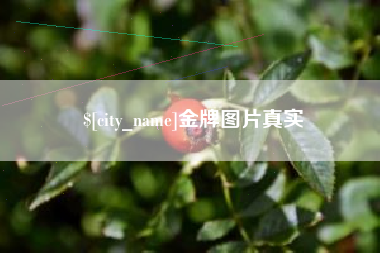 文昌金牌图片真实