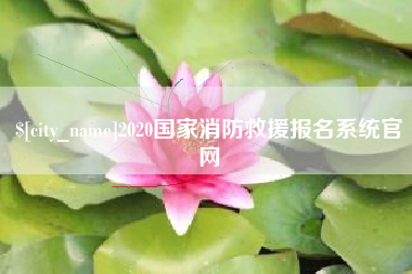 文昌2020国家消防救援报名系统官网
