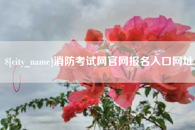 文昌消防考试网官网报名入口网址