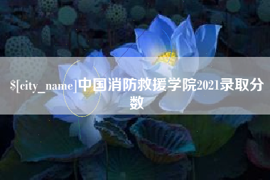文昌中国消防救援学院2021录取分数