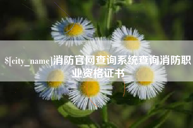 文昌消防官网查询系统查询消防职业资格证书