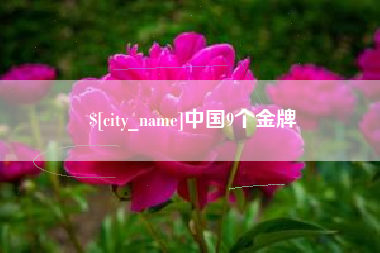 文昌中国9个金牌