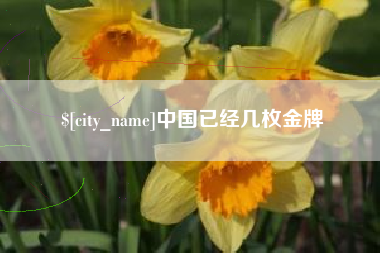 文昌中国已经几枚金牌