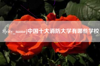 文昌中国十大消防大学有哪些学校