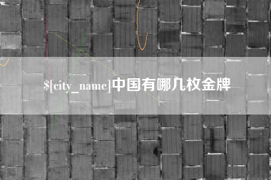 文昌中国有哪几枚金牌