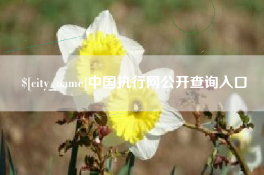 文昌中国执行网公开查询入口
