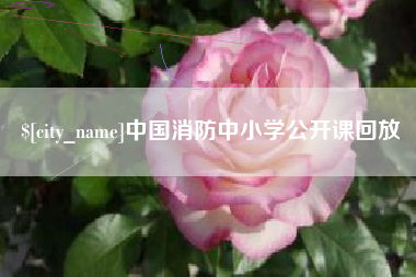文昌中国消防中小学公开课回放