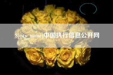 文昌中国执行信息公开网