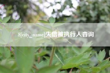 文昌失信被执行人杳询