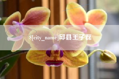 文昌邱县王子磊
