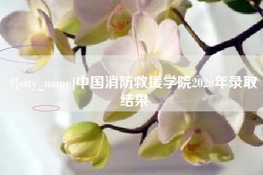 文昌中国消防救援学院2020年录取结果