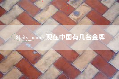 文昌现在中国有几名金牌
