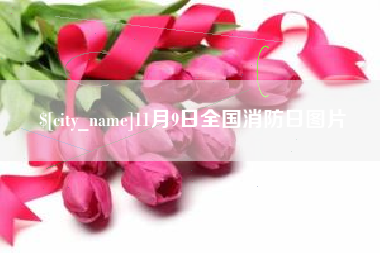 文昌11月9日全国消防日图片