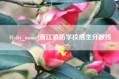 文昌浙江消防学校招生分数线