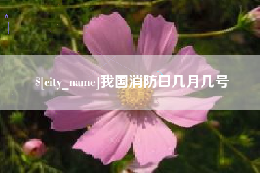 文昌我国消防日几月几号
