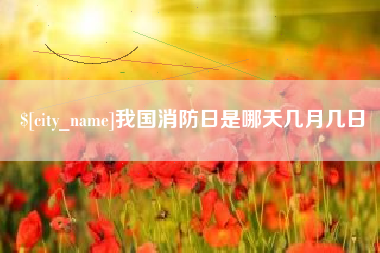 文昌我国消防日是哪天几月几日