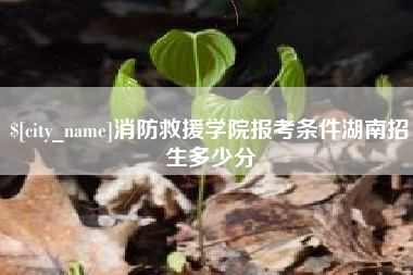 文昌消防救援学院报考条件湖南招生多少分