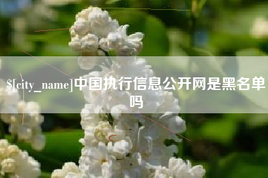 文昌中国执行信息公开网是黑名单吗
