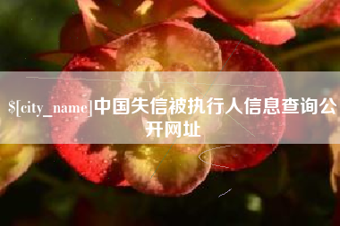 文昌中国失信被执行人信息查询公开网址