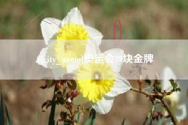文昌奥运会39块金牌