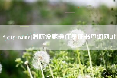 文昌消防设施操作员证书查询网址