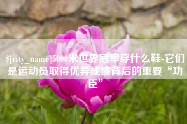 文昌5000米世界冠军穿什么鞋-它们是运动员取得优异成绩背后的重要“功臣”