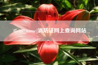 文昌消防证网上查询网站