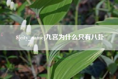 文昌九宫为什么只有八卦