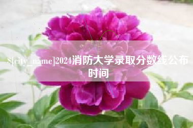 文昌2024消防大学录取分数线公布时间