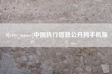 文昌中国执行信息公开网手机版