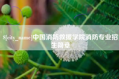 文昌中国消防救援学院消防专业招生简章