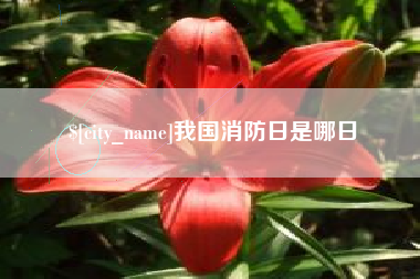 文昌我国消防日是哪日