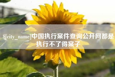 文昌中国执行案件查询公开网都是执行不了得案子