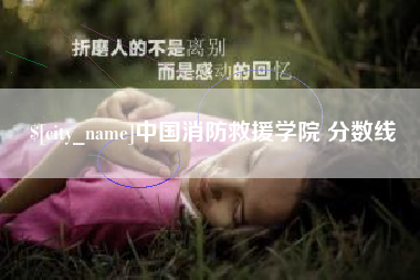文昌中国消防救援学院 分数线