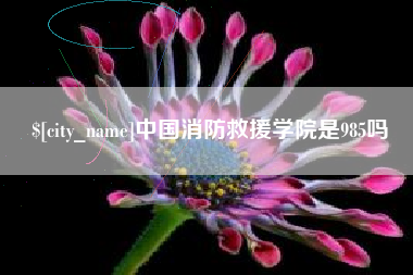 文昌中国消防救援学院是985吗