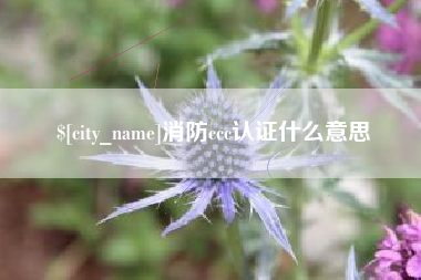文昌消防ccc认证什么意思