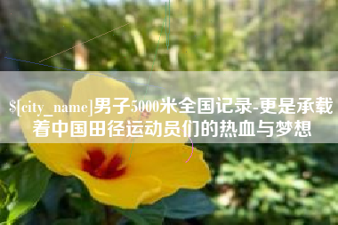 文昌男子5000米全国记录-更是承载着中国田径运动员们的热血与梦想